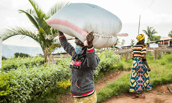 Rwanda Ruli - Rumble Coffee