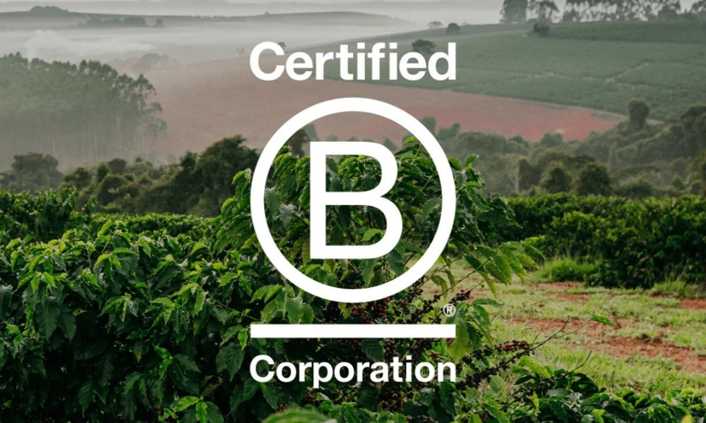 Why Rumble Coffee became a B-Corp - Rumble Coffee