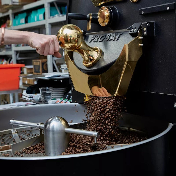 Coffee Roasts Explained - Rumble Coffee