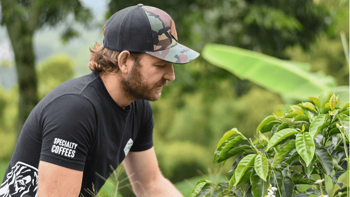 Colombia El Placer - Rumble Coffee