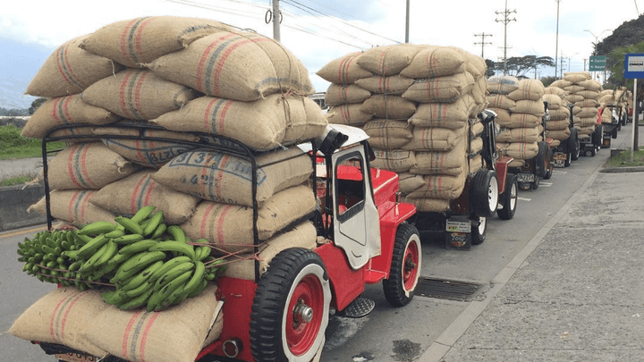 Colombia Sebastian Ramirez - Rumble Coffee