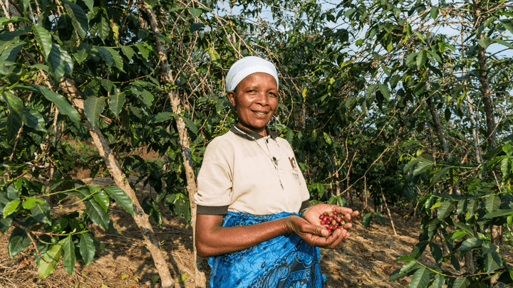 Rwanda Marie's Coffee - Rumble Coffee