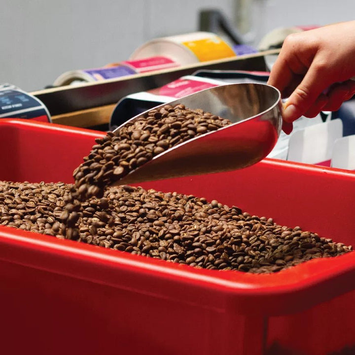 Coffee Freshness: When is it Best to Brew? - Rumble Coffee