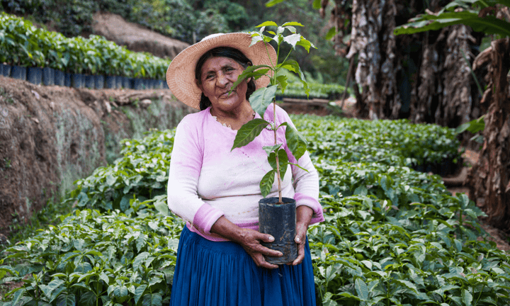 Bolivia Carmalita Coco Natural - Rumble Coffee