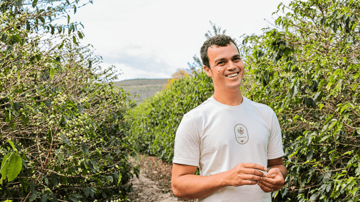 Brazil Sitio Canaã - Rumble Coffee