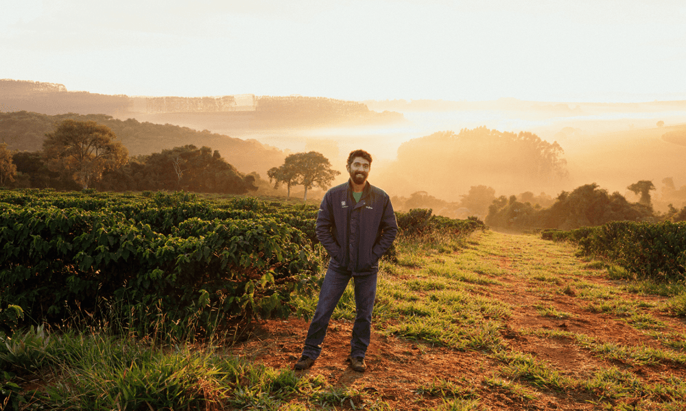 Pedro Gabarra Arara - Rumble Coffee