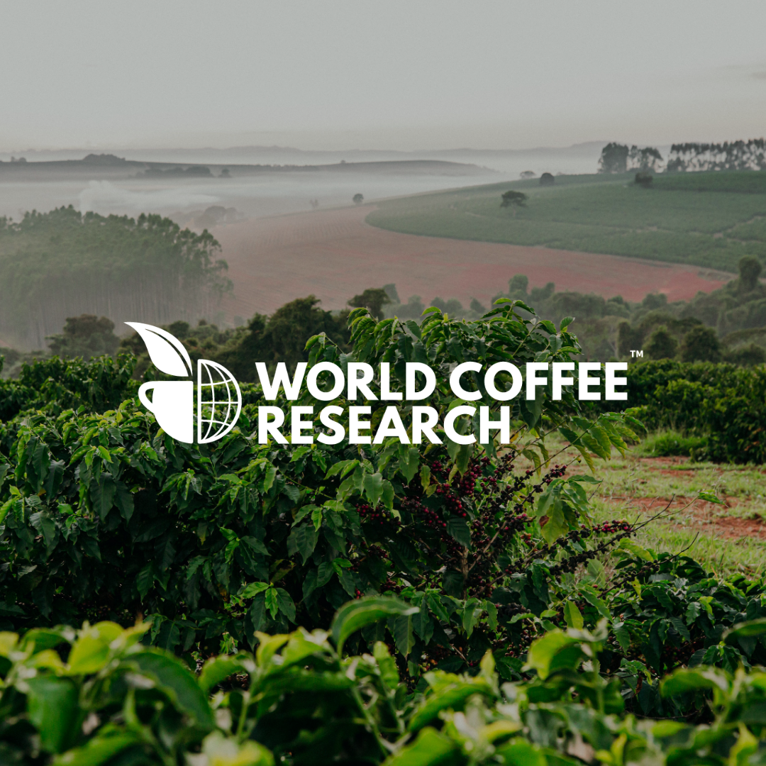 World Coffee Research
