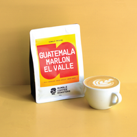 Guatemala Marlon El Valle Espresso