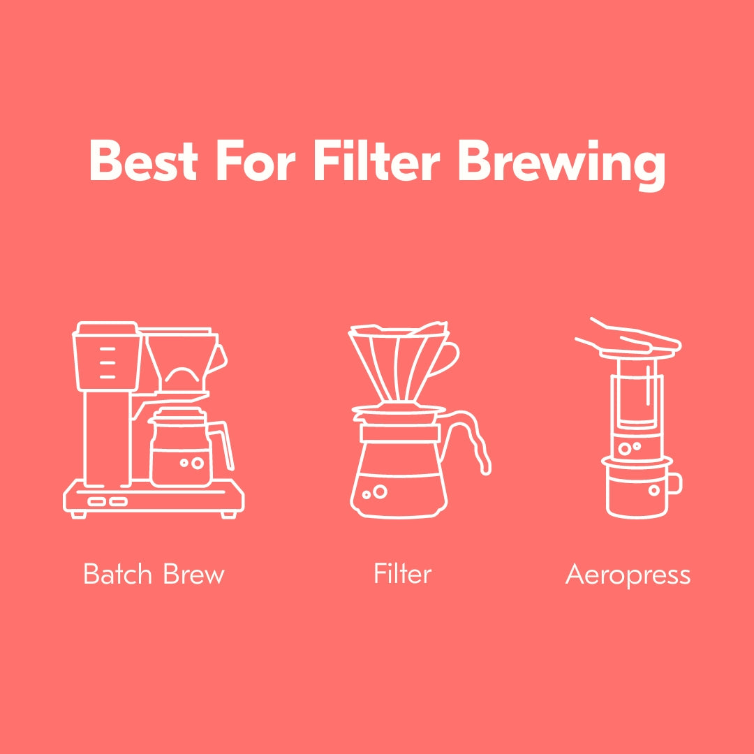 Guatemala El Buho Filter