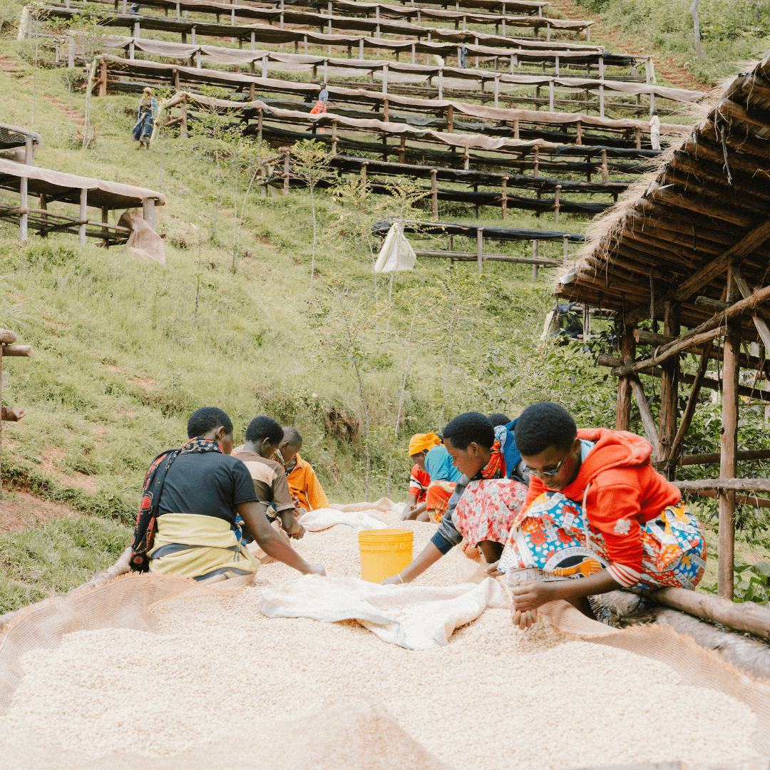 Burundi Gishubi