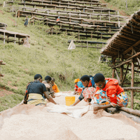 Burundi Gishubi