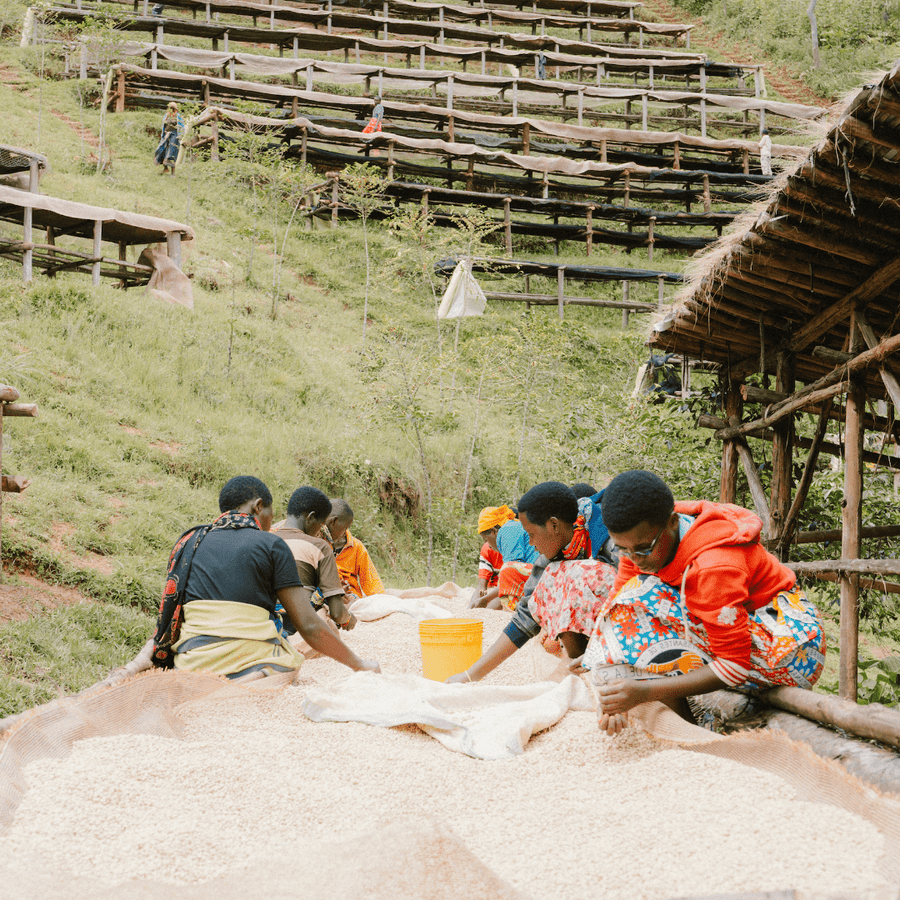 Burundi Gishubi