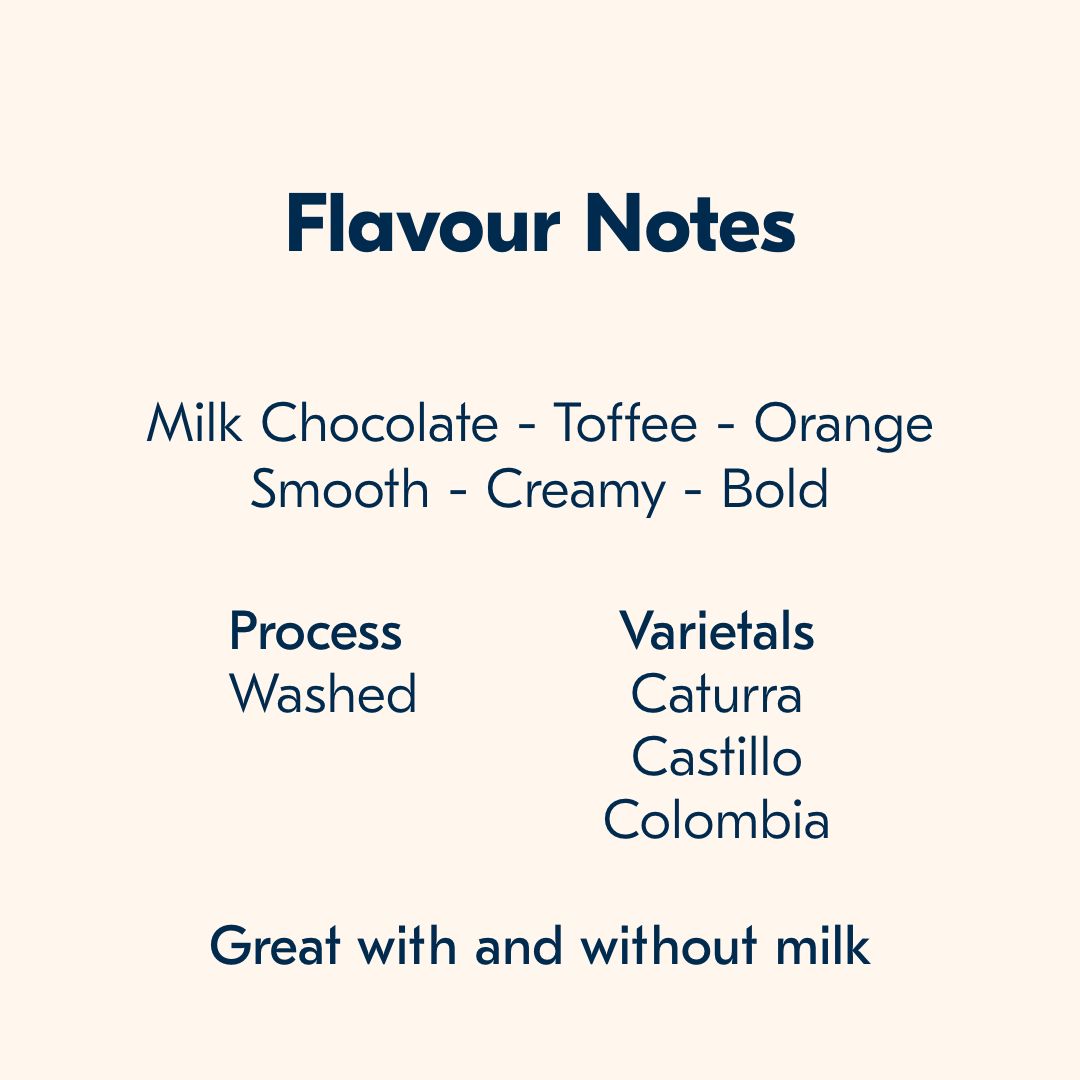 Colombia Lengupá espresso coffee flavour notes: milk chocolate, toffee and orange; smooth, creamy and bold; washed process with Caturra, Castillo and Colombia varietals; great with or without milk.