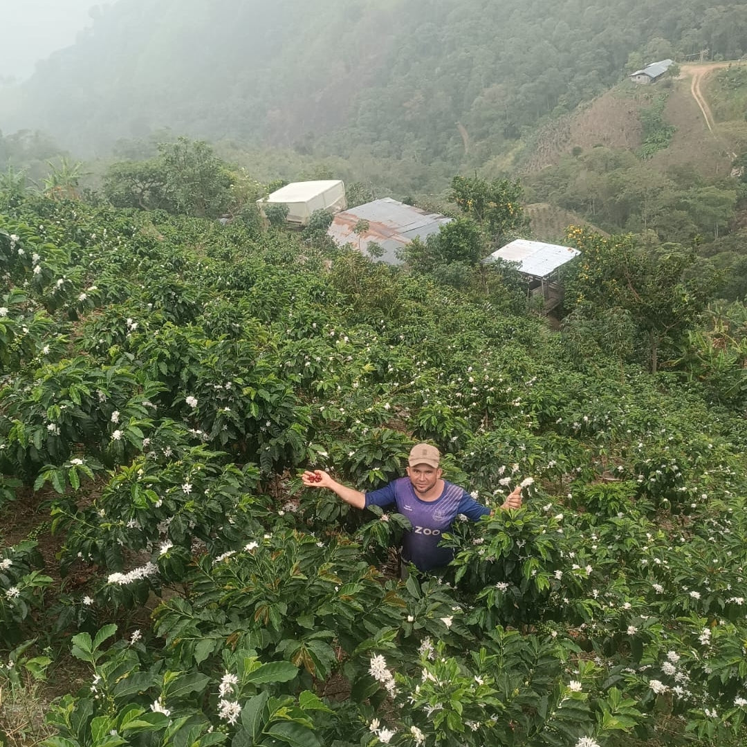 Colombia German Peña Zuta Filter