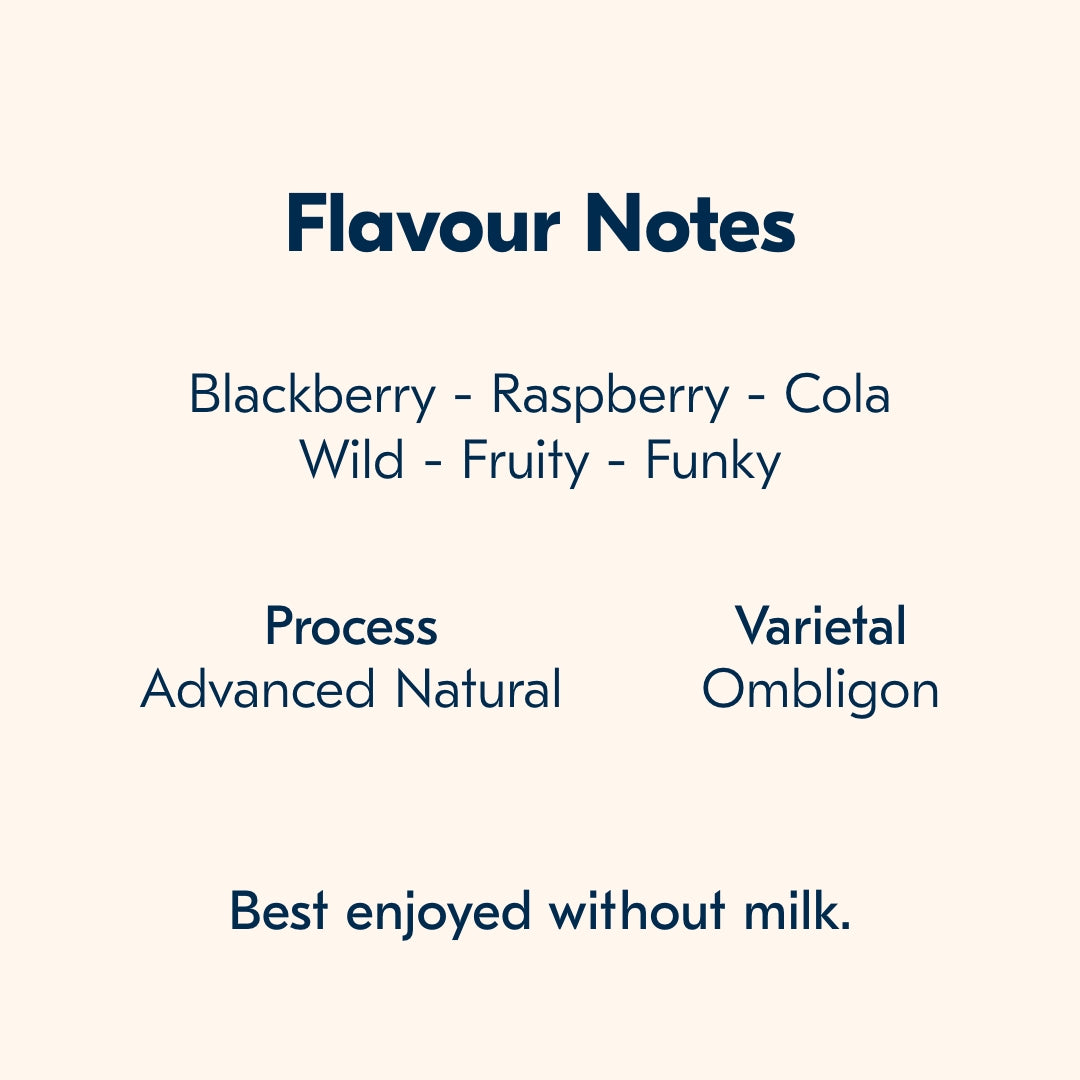 Colombia Nestor Lasso Ombligon Filter - Special Release