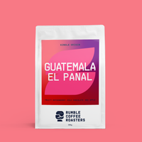 Guatemala El Panal Espresso