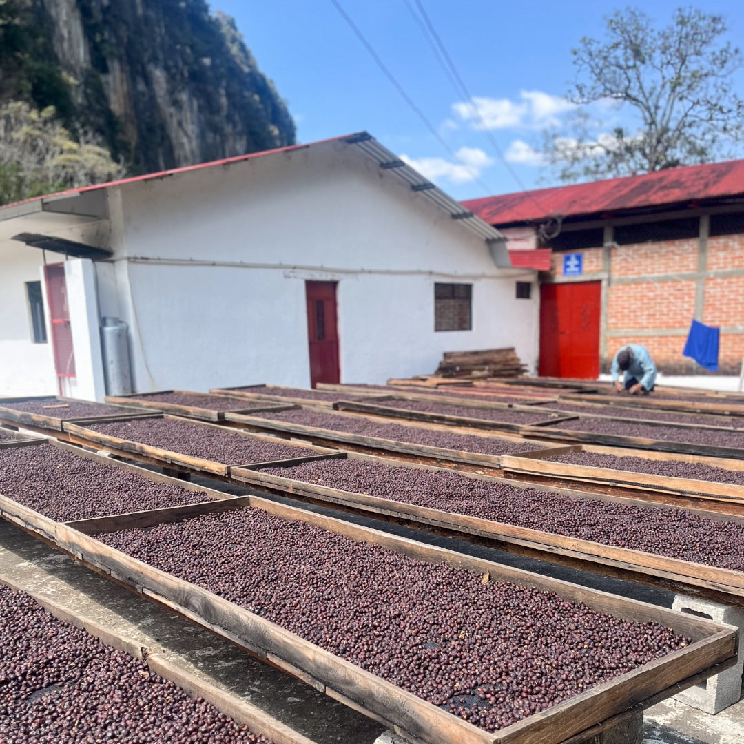 Guatemala El Sol Espresso