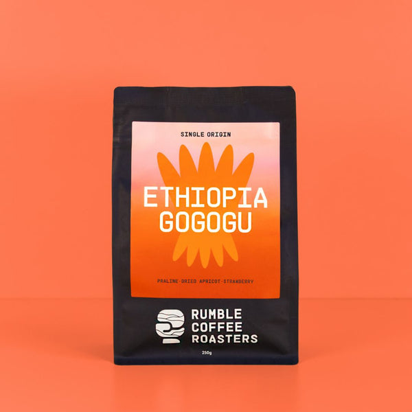 Ethiopia Gogogu Filter