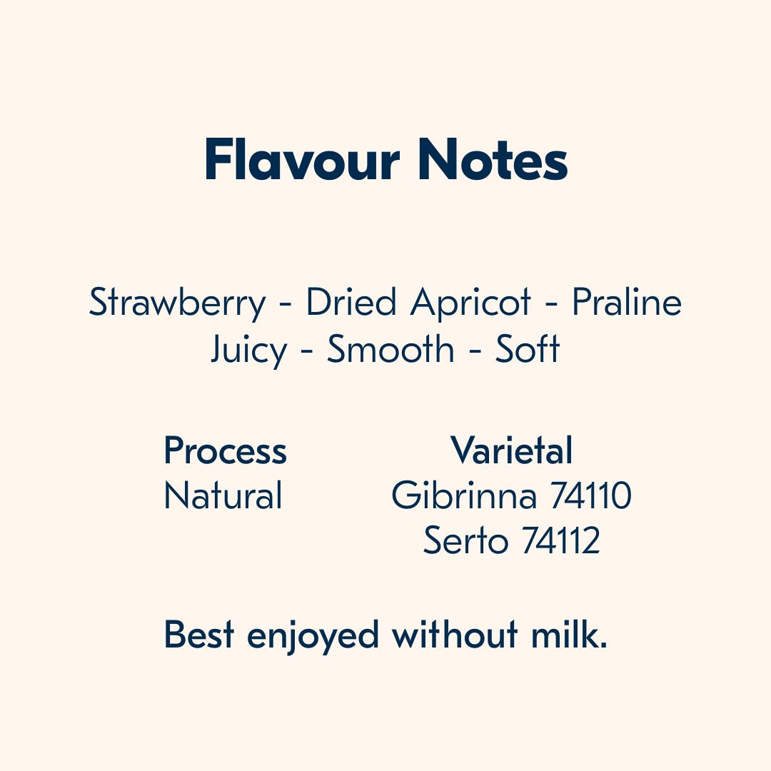 A text-based flavour notes card on a warm cream background. The heading reads &
