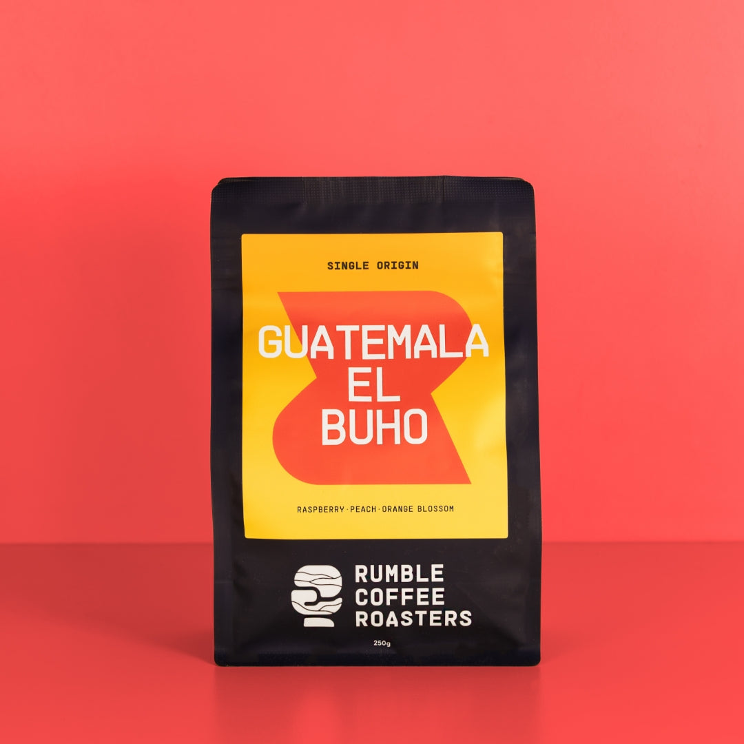 Guatemala El Buho Filter