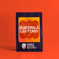 Guatemala Los Pinos Filter