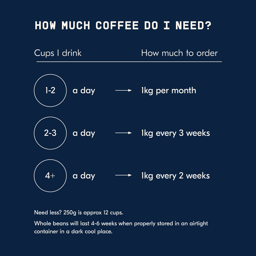 Guatemala La Danta Espresso