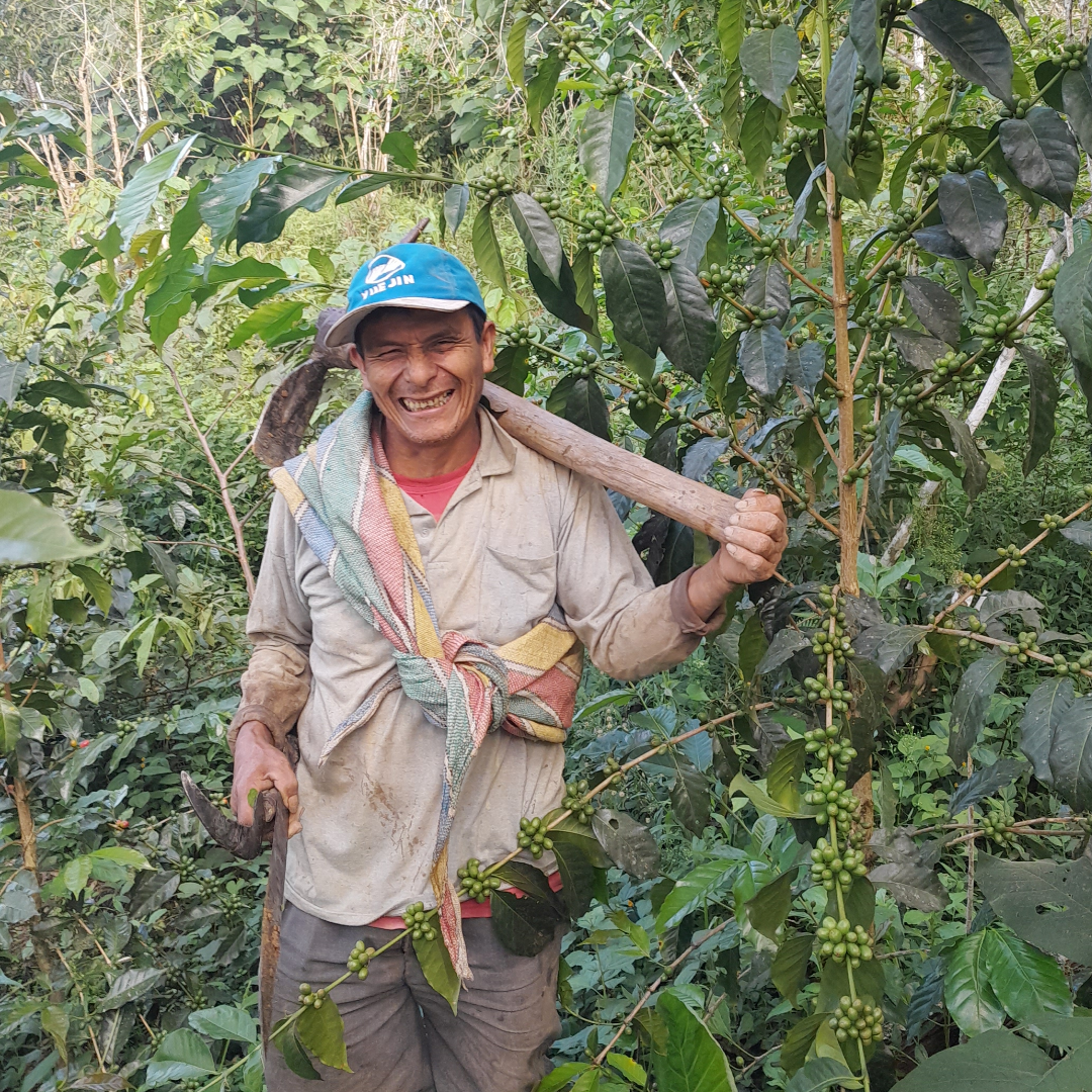 Peru Jorge Vergara Espresso