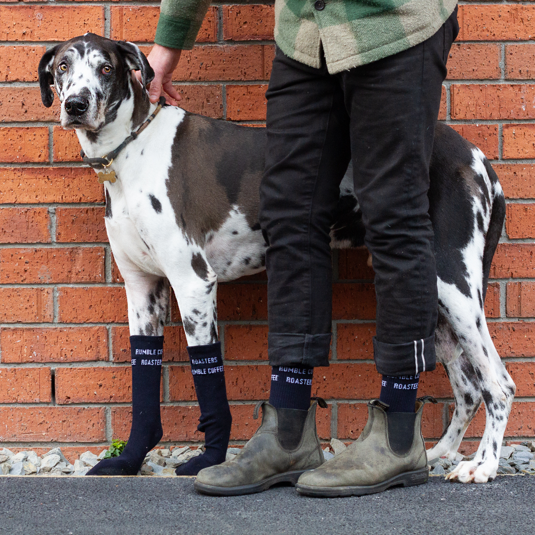 Rumble Coffee Roasters Socks