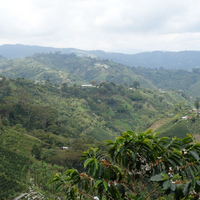 Colombia José Lizardo & Wilson Alba Espresso