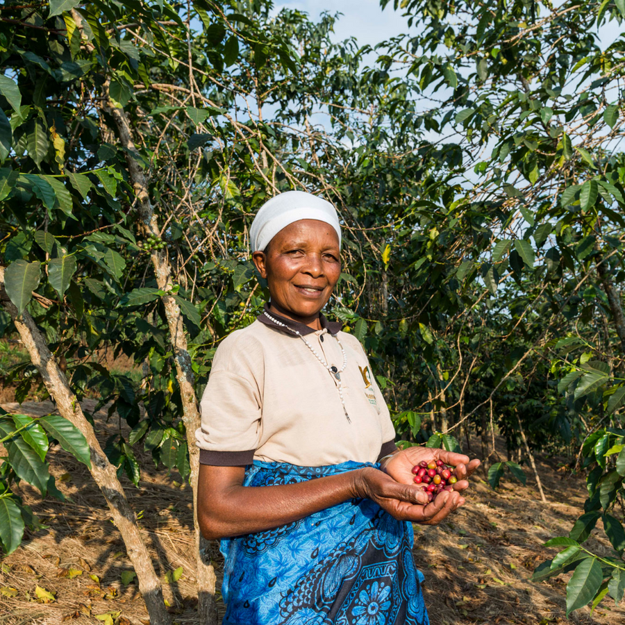 Rwanda Marie's Coffee Filter