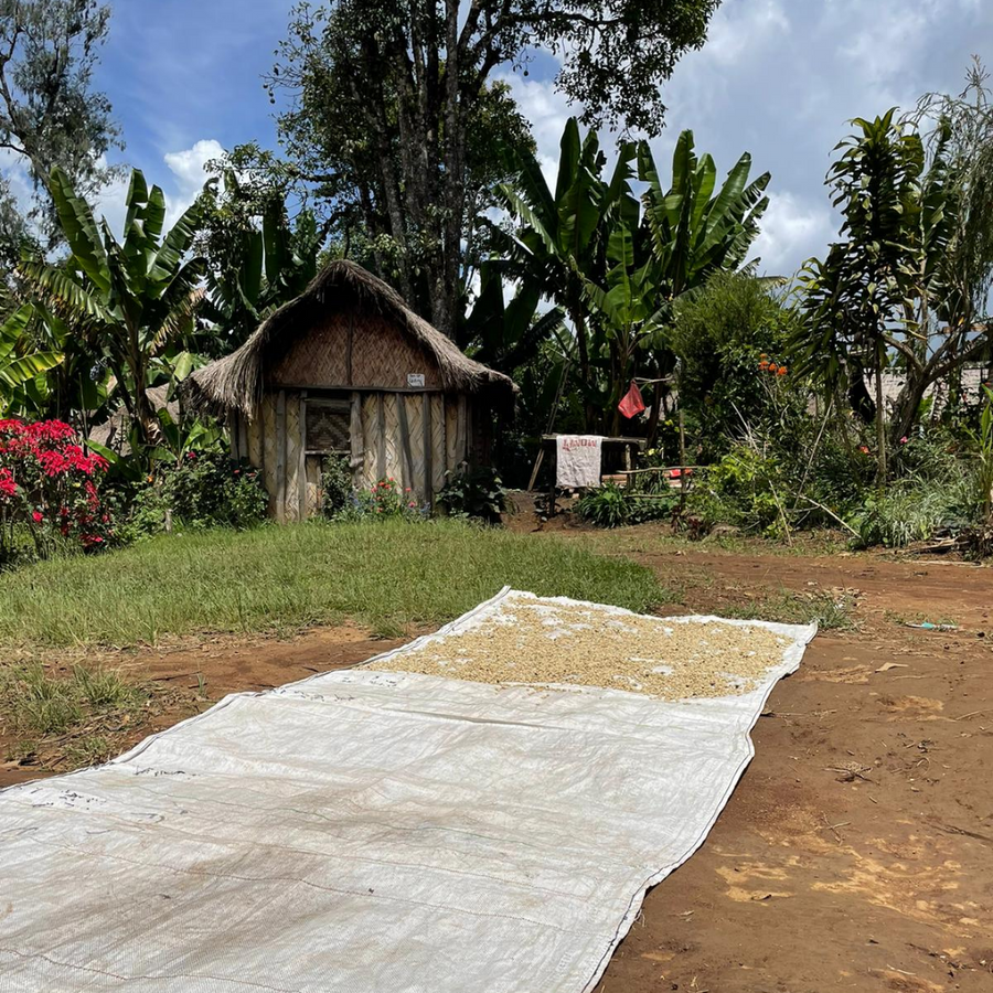 Papua New Guinea Kepai Espresso