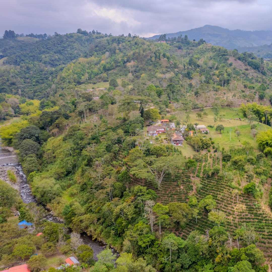 Aerial view of a lush green valley with houses and a river, at the Santa Monica farm in Armenia, Quindio, Colombia