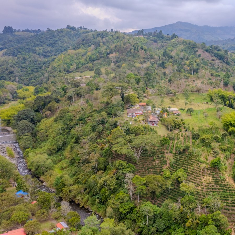Aerial view of a lush green valley with houses and a river, at the Santa Monica farm in Armenia, Quindio, Colombia