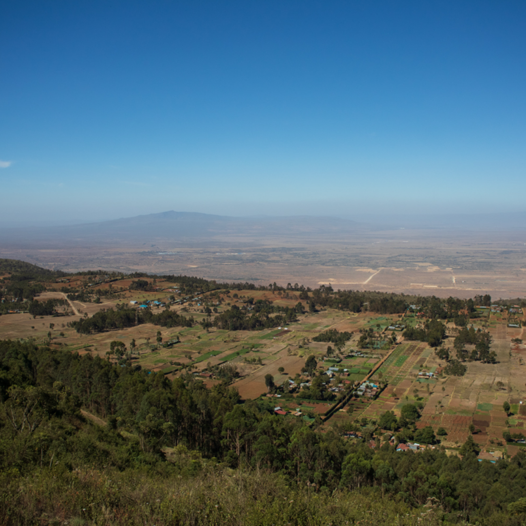 Kenya Kagumoini Espresso