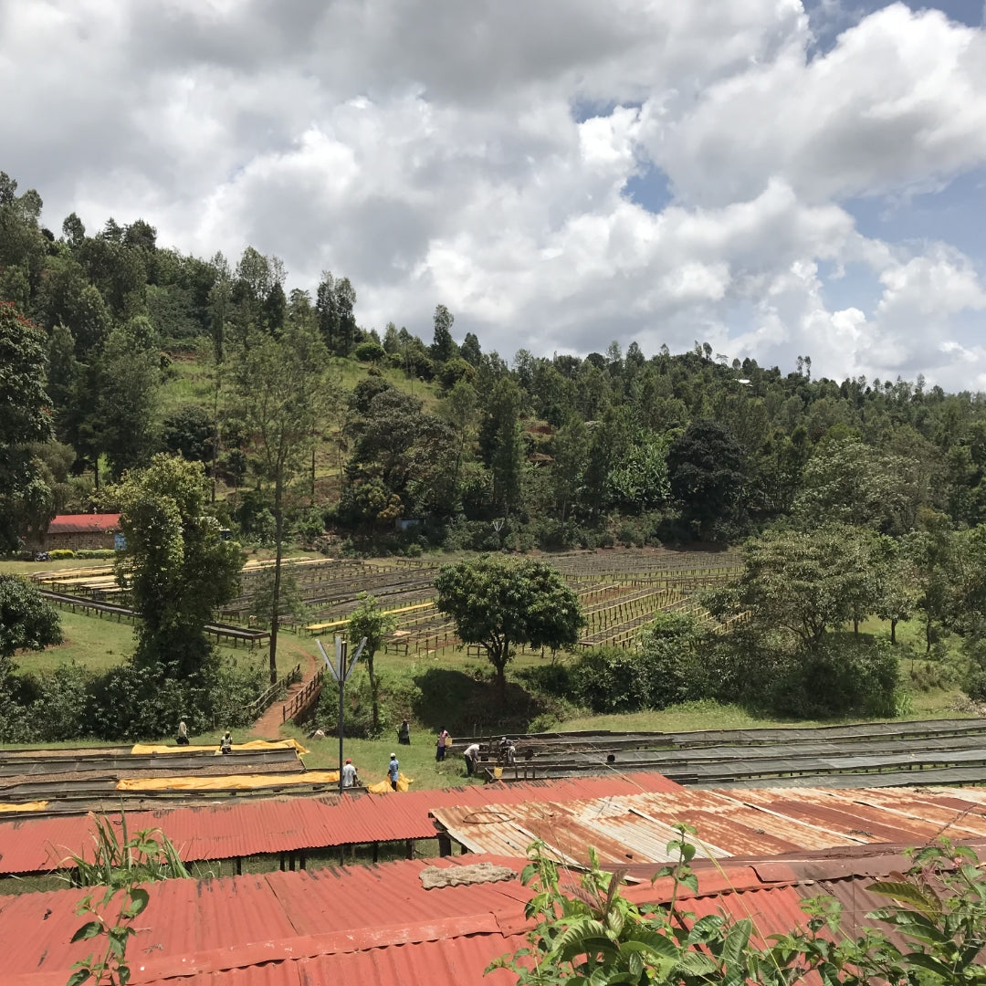 Kenya Karimikui Espresso