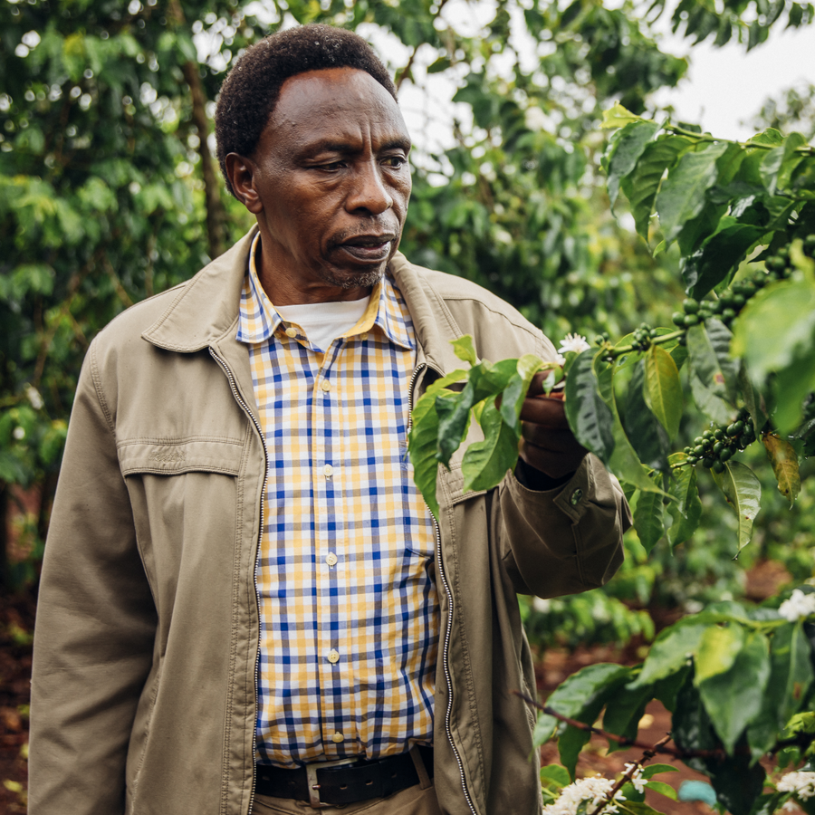 Kenya Ndocha Filter