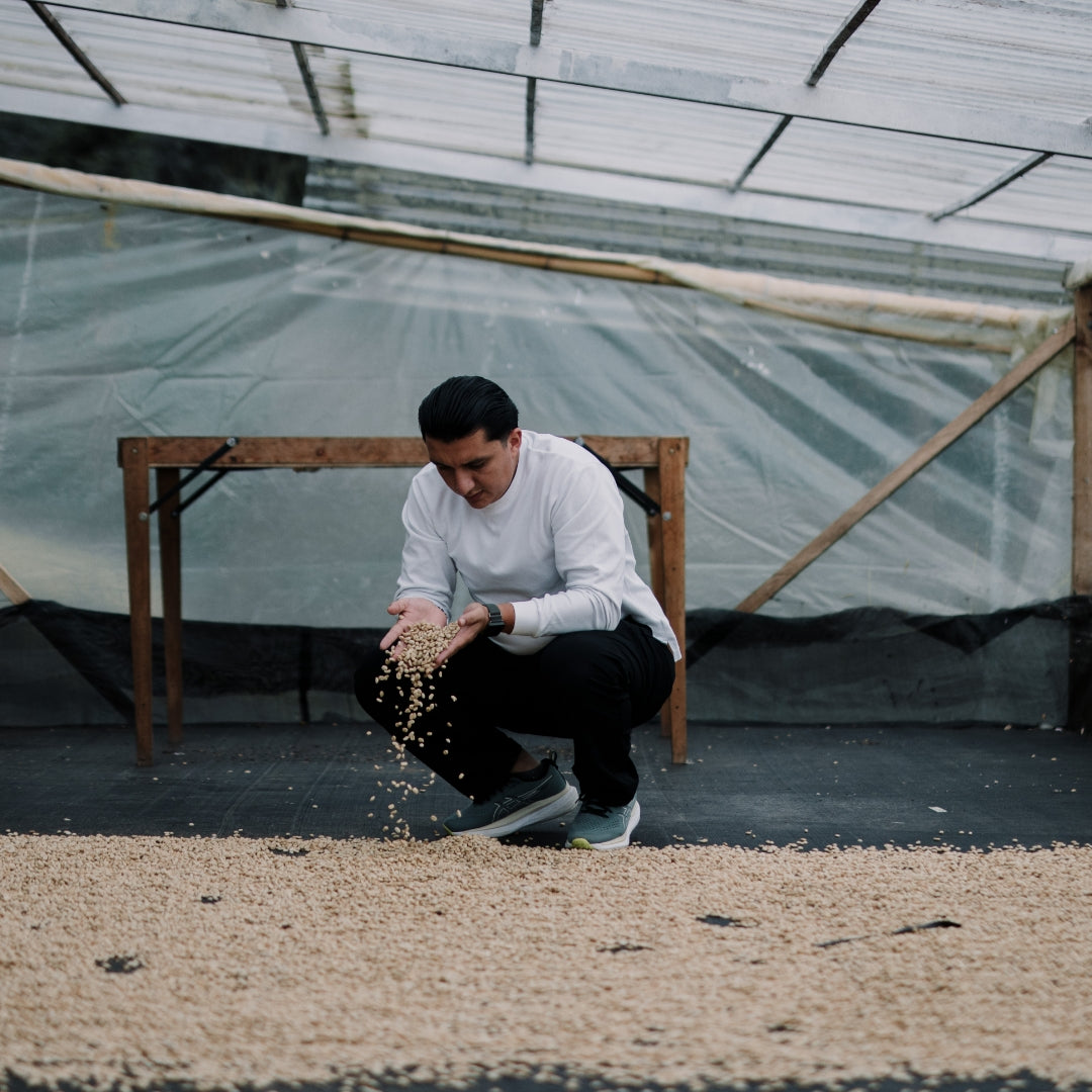 Colombia Nestor Lasso Ombligon Filter - Special Release