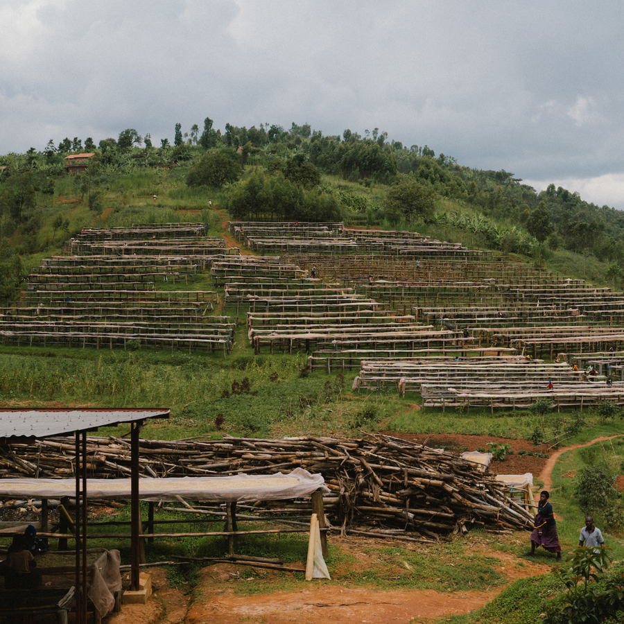 Burundi Ninga Espresso