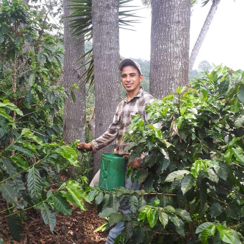 Marlon El Valle, Producer of Rumble Coffee's guatemalan single origin