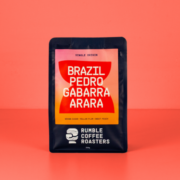 Brazil Pedro Gabarra Arara