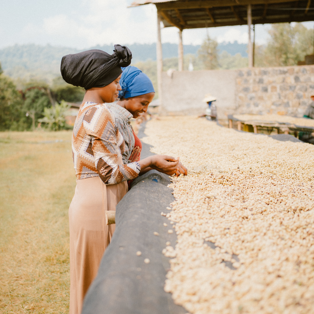 Ethiopia Tuma Tesso Espresso