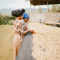 Ethiopia Tuma Tesso Espresso