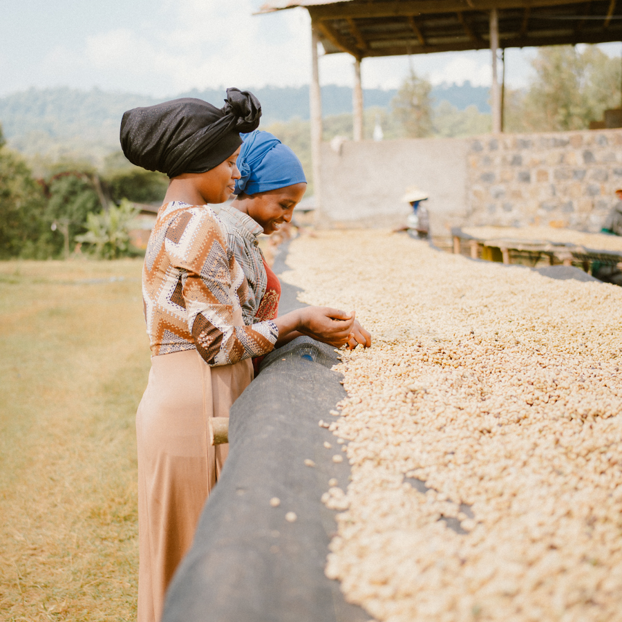 Ethiopia Tuma Tesso Espresso
