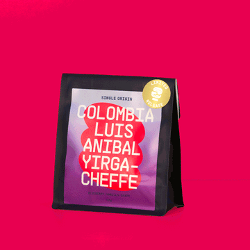 Colombia Luis Anibal Yirgacheffe Filter - Special Release