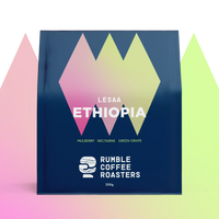 Ethiopia Lesaa Filter - Rumble Coffee