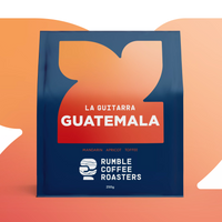 Guatemala La Guitarra Filter - Rumble Coffee
