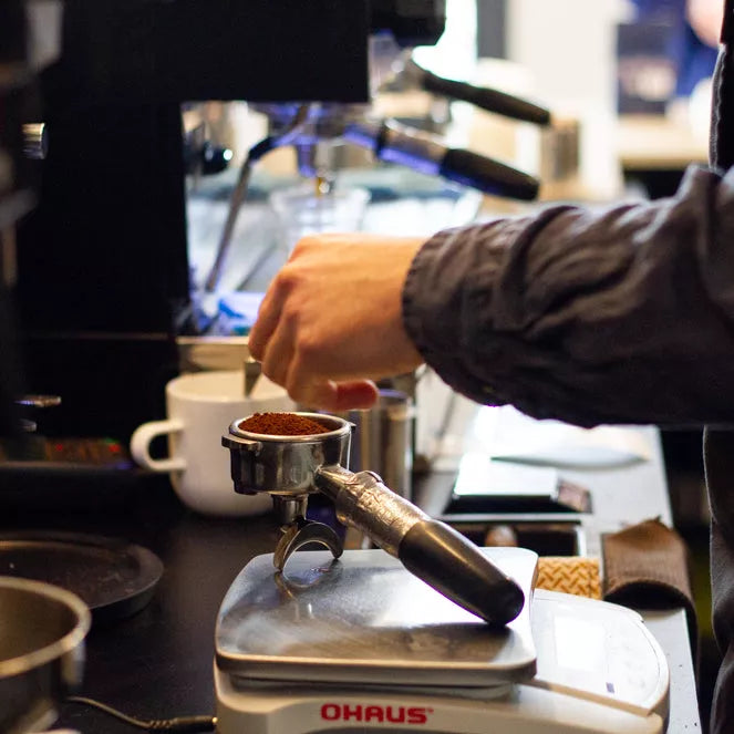 Brazil Fazenda Progresso Espresso - Rumble Coffee