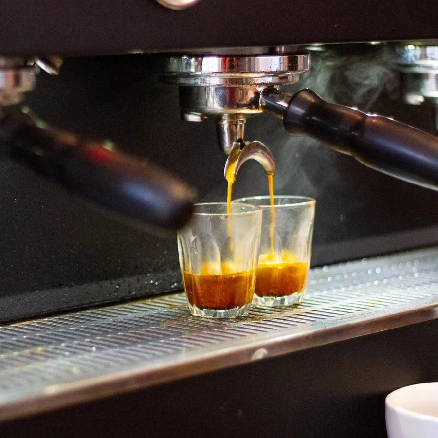 Ethiopia Halo Beriti Anaerobic Espresso - Rumble Coffee