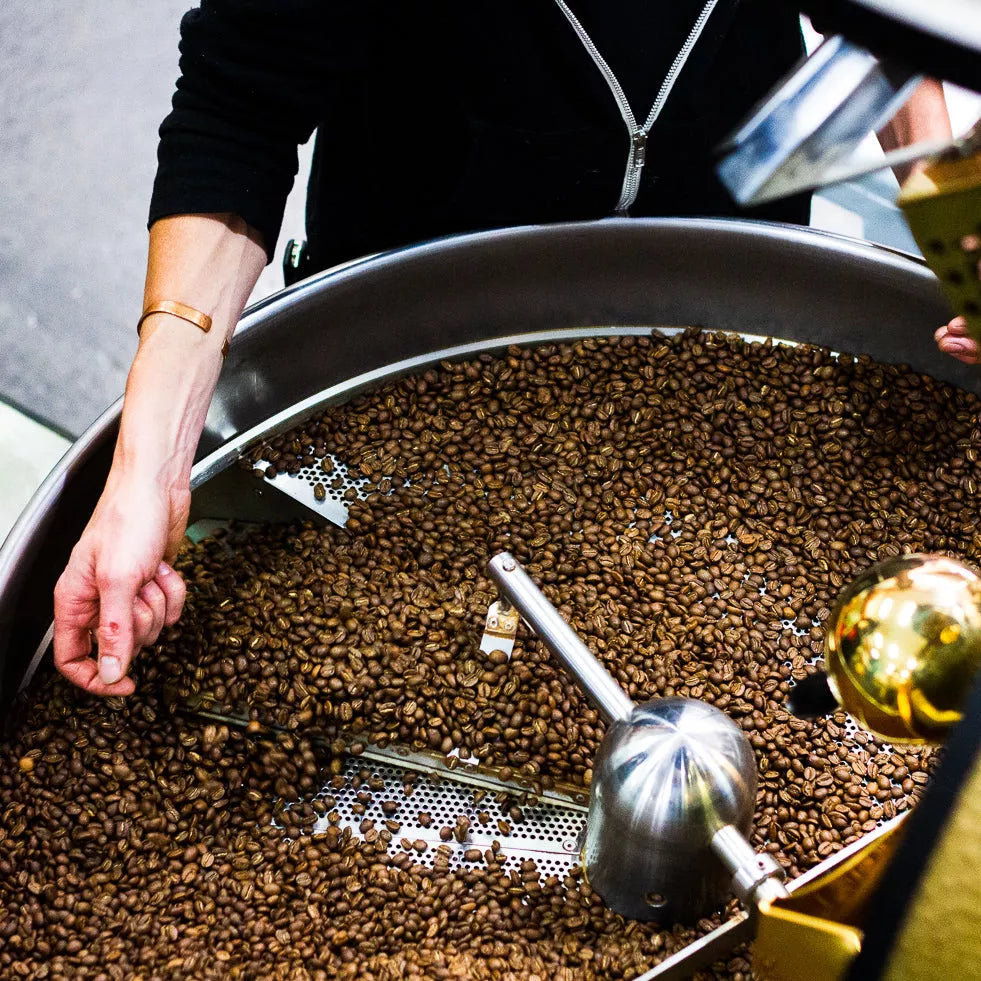 Brazil Fazenda Progresso Espresso - Rumble Coffee