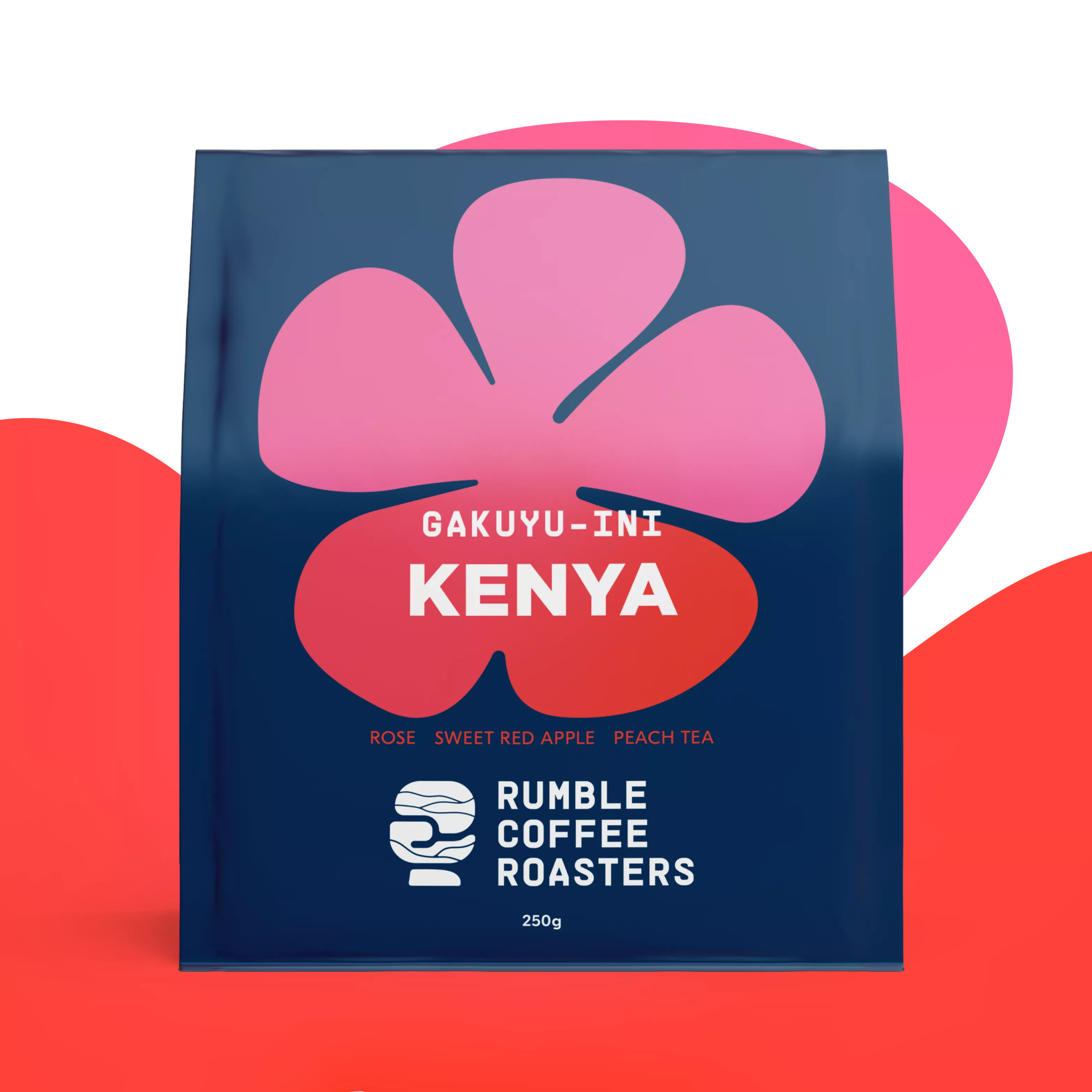 Photo of Kenya Gakuyu Ini Filter
